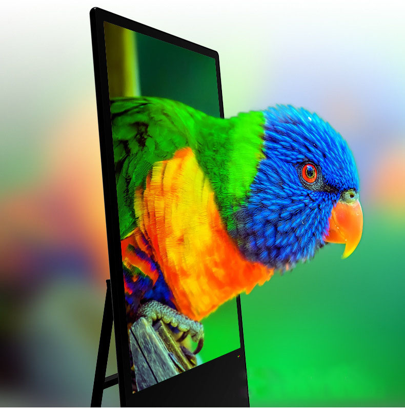 Portable Floor Stand Screen
